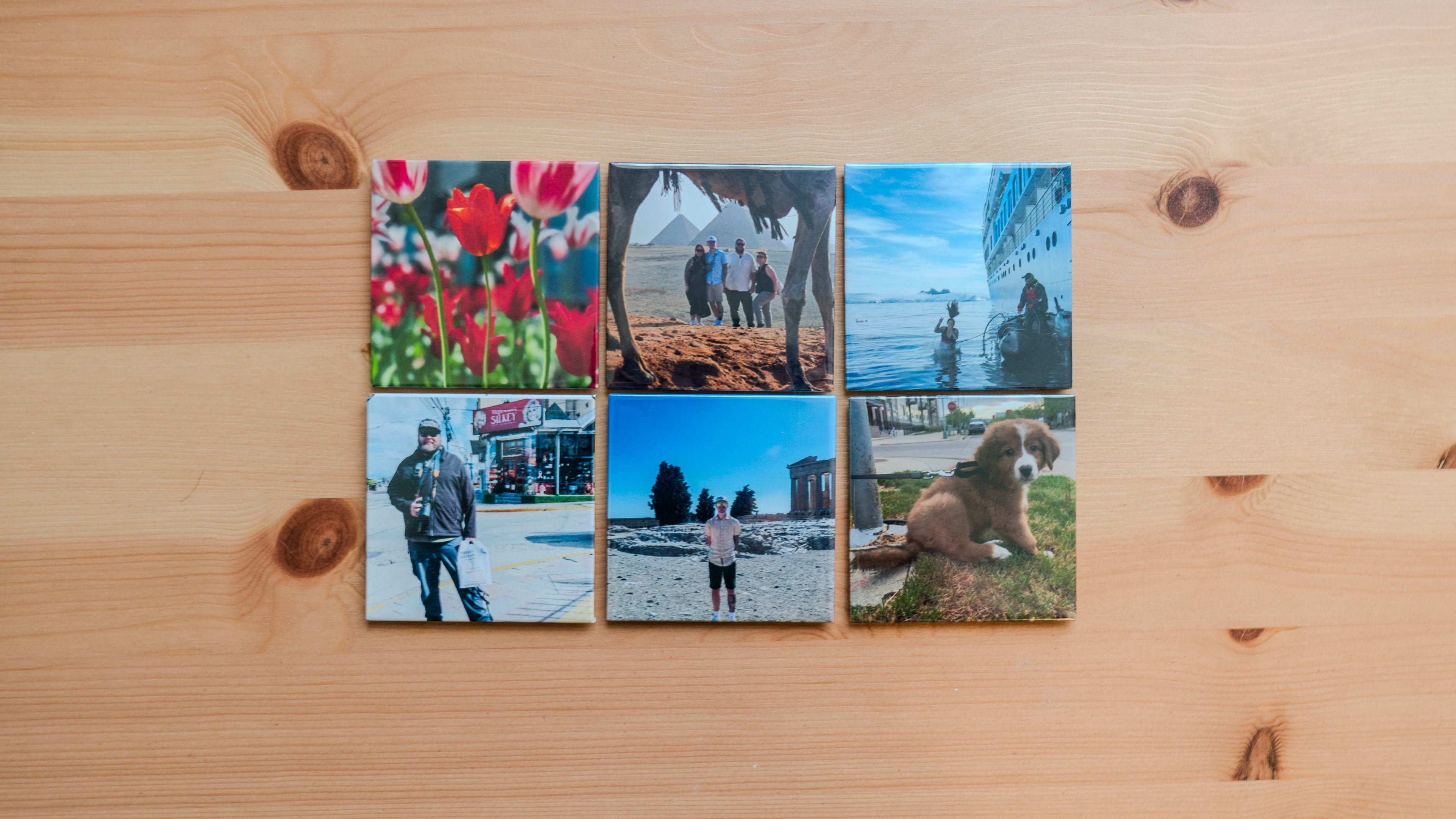 Custom Magnets-Set of 6 (2.5" x 2.5")